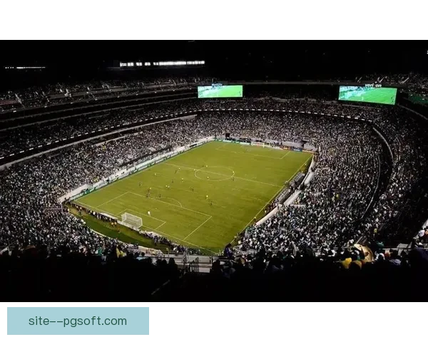 2026世界杯组委会宣布洛杉矶索菲体育场草坪硬度升级计划